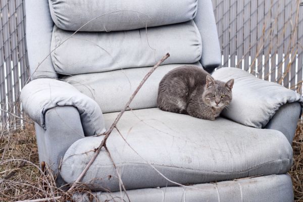 Recliner Disposal in Hudson